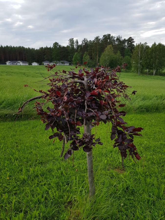 Onnerud Gardshotell Karlstad Extérieur photo
